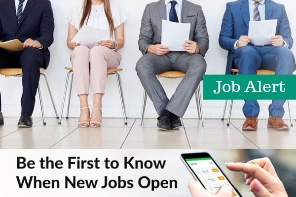 Government jobs after 12