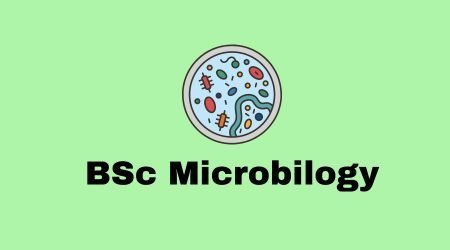 BSc Microbiology